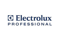 Logo of electrolux professional on a white background.